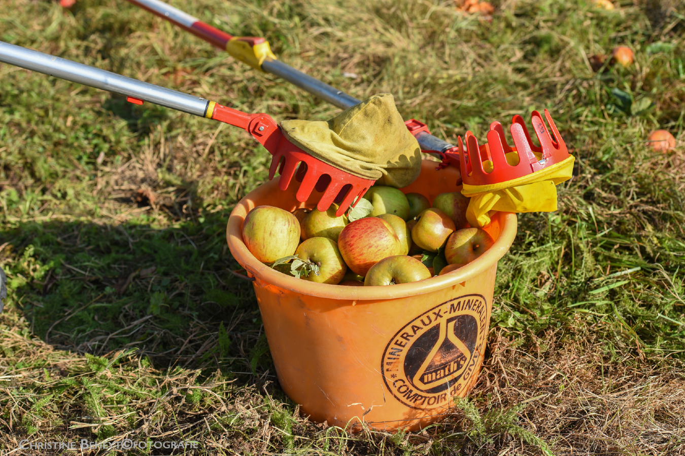 Appelplukdag + fruithub (Poperinge)