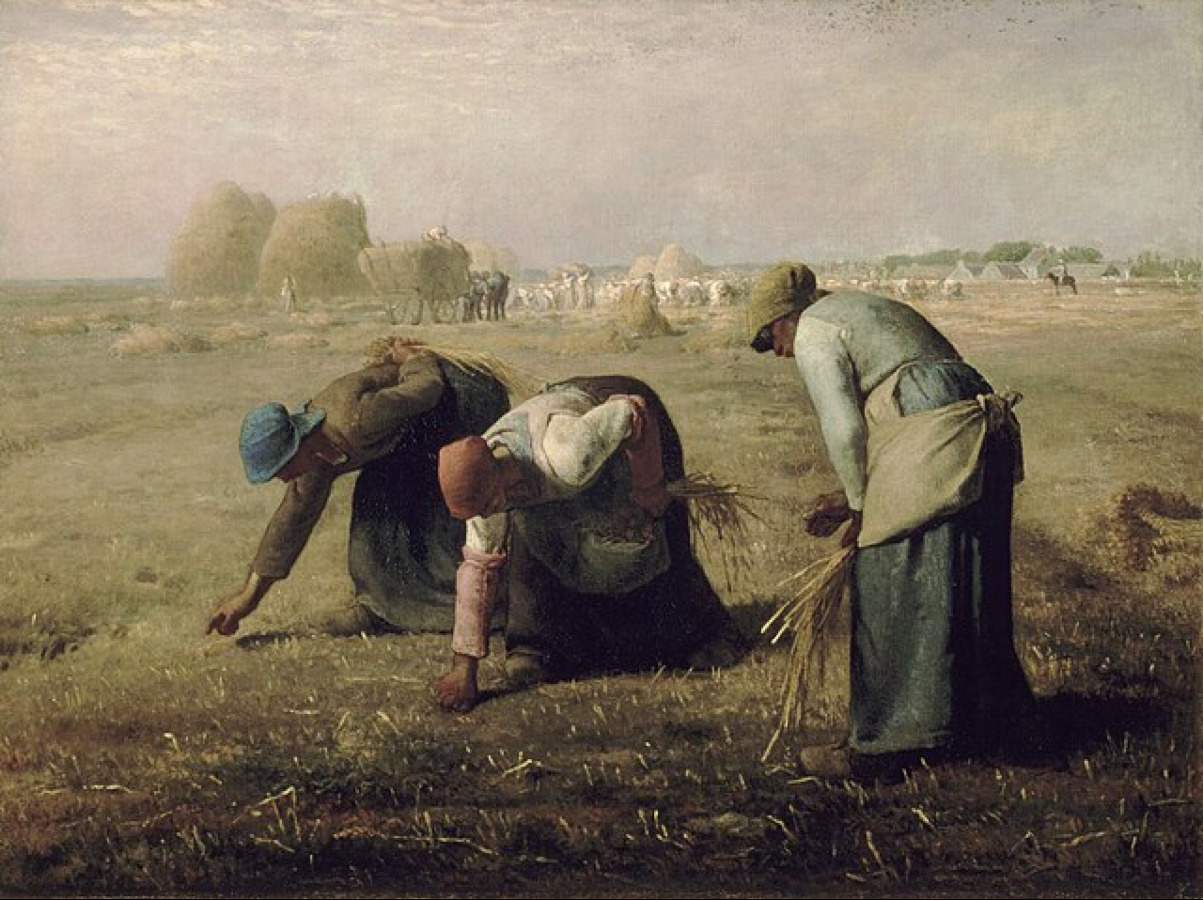Filmdocumentaire: Les Glaneurs et La Glaneuse
